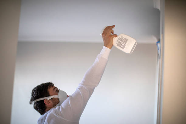 Best HVAC Mold Remediation in Cottonwood Heights, UT