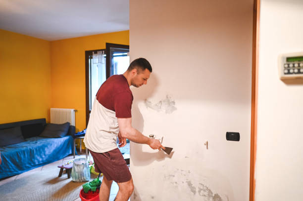 Best Residential Mold Remediation in Cottonwood Heights, UT